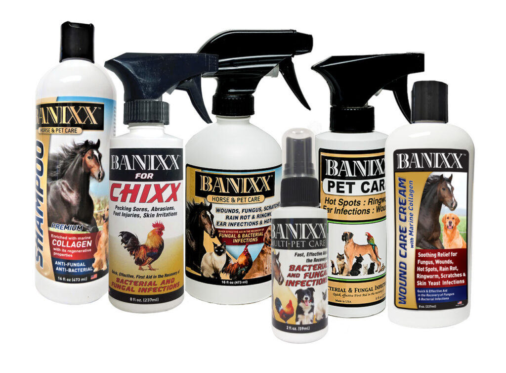 banixx pet care products