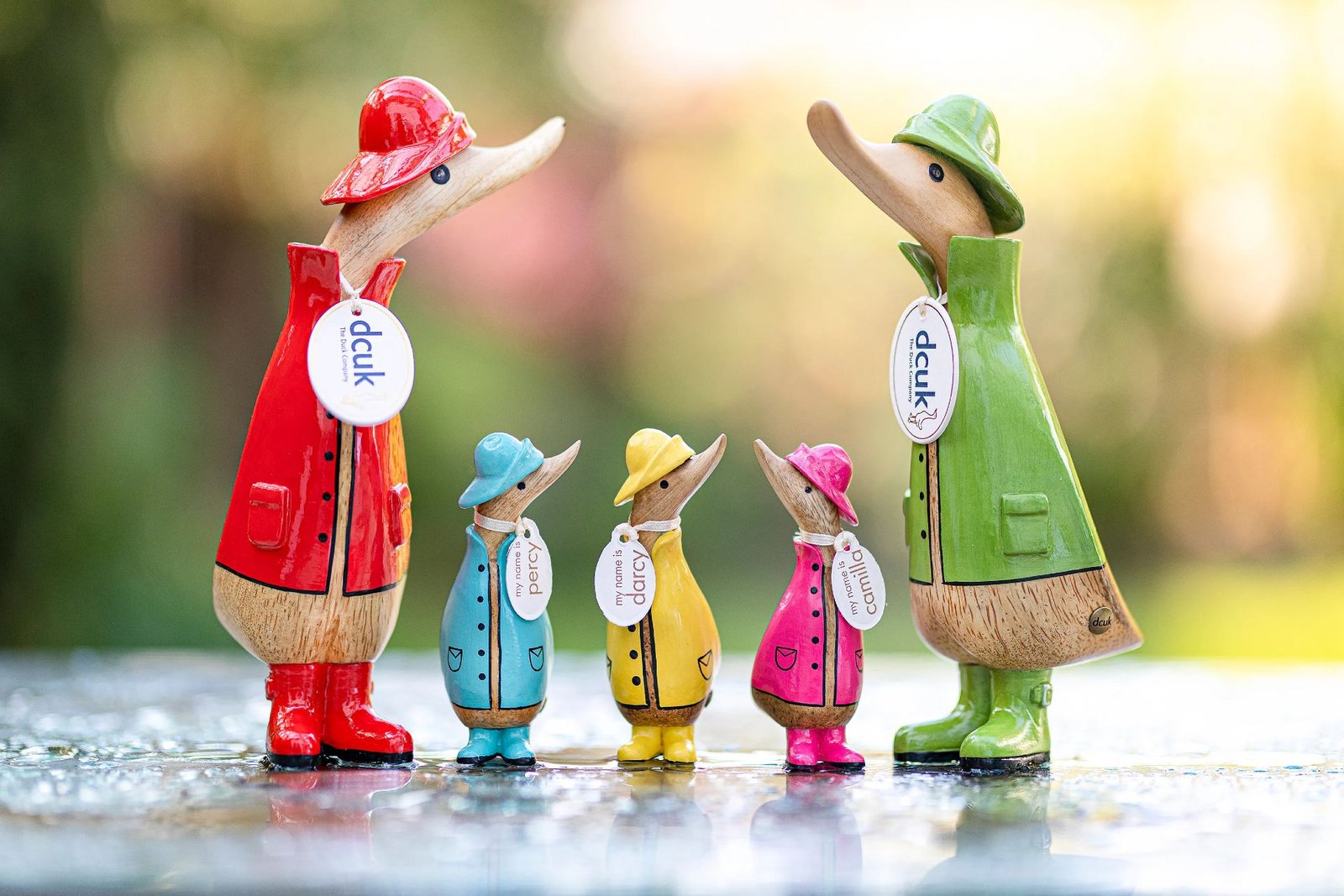 dcuk wooden duck family
